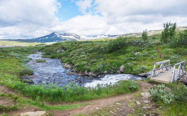 istock Stormy stream in the north of Norway 924767006