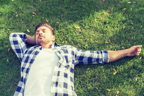 istock Lazily resting on the backyard lawn. 924773424