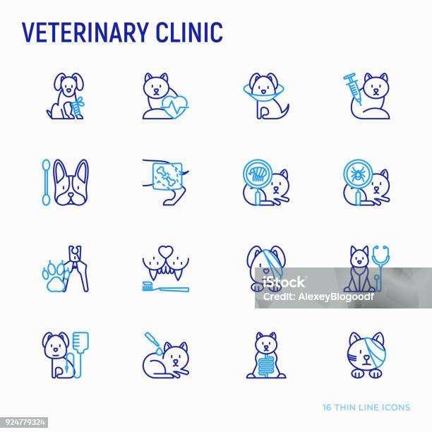 Clinique Vétérinaire Fine Ligne Icônes Ensemble  Broken Leg Collerette De Protection Injection Cardiologie Nettoyage Des Oreilles Dents Griffes À Cisailler Un Bandage Sur Les Yeux La Transfusion Sanguine Pour Chien Illustration Vectorielle Vecteurs libres de droits et plus d'images vectorielles de Chien