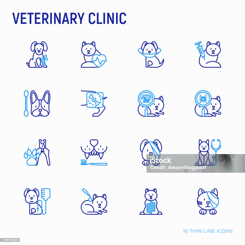 Veterinary clinic thin line icons set: broken leg, protective collar, injection, cardiology, cleaning of ears, teeth, shearing claws, bandage on eye, blood transfusion for dog. Vector illustration. Dog stock vector