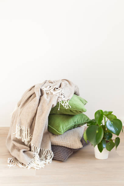 istock gray and green cushions cozy home 924786720