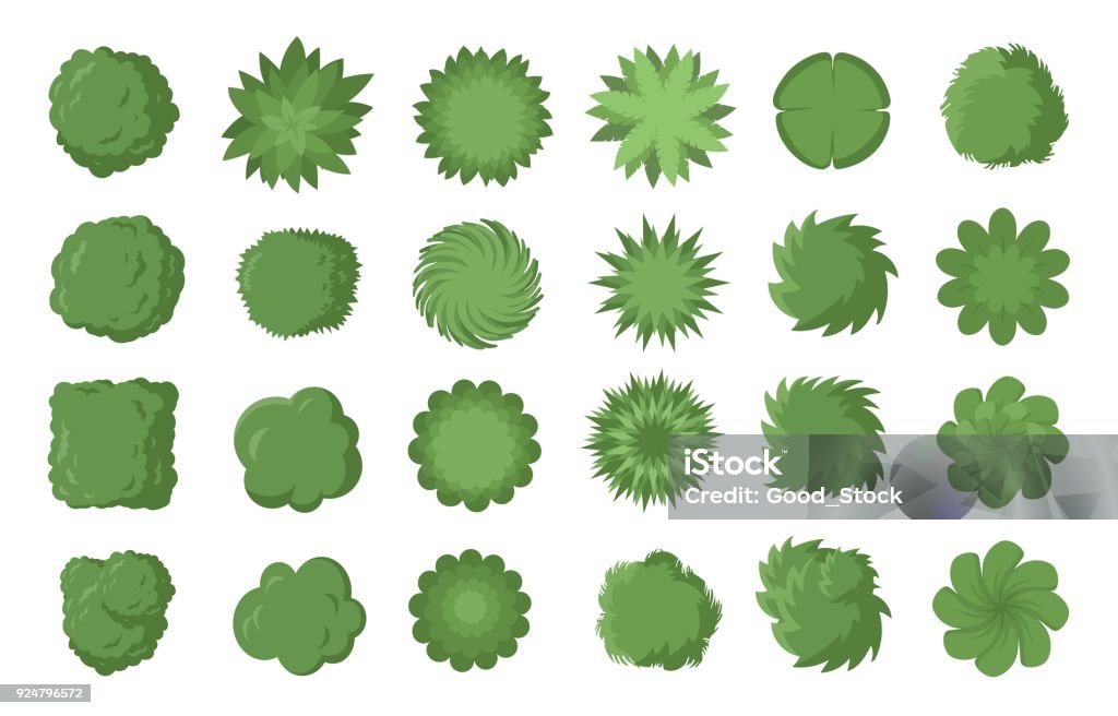 Various trees, bushes and shrubs, top view for landscape design plan. Vector illustration, isolated on white background. Various green trees, bushes and shrubs, top view for landscape design plan. Vector illustration, isolated on white background. Tree stock vector