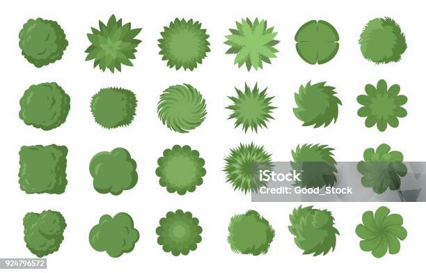 Various Trees Bushes And Shrubs Top View For Landscape Design Plan Vector Illustration Isolated On White Background Stock Illustration - Download Image Now