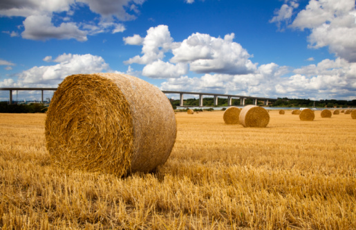 Haystacks in farmland: bales scattered across a field, with a water tower and mountains visible on the horizon against a blue sky in Pennsylvania farmland