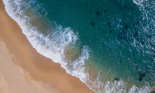 istock Aerial view of a paradisiacal beach with waves 924806082