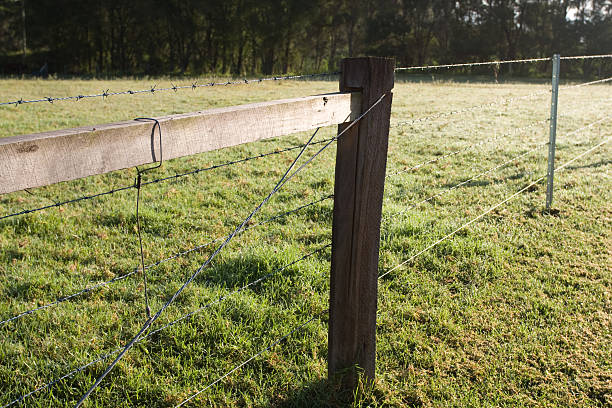 istock Barbed wire fence on green grass 92480729