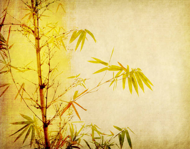 istock Bamboo on old grunge paper texture background 924816702