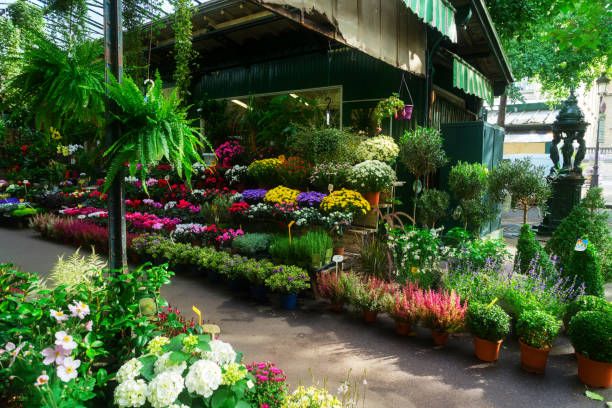 istock Paris flower market 924817934