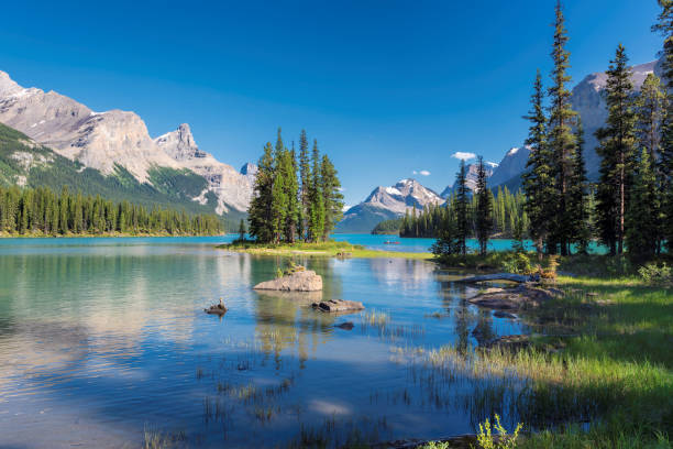 istock Spirit Island in Rocky Mountains, Canada 924825588