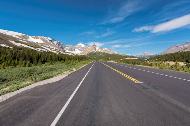 icefields parkway, canada - driving motor home forest banff national park photos et images de collection