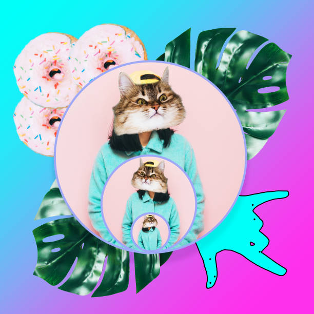 istock many cat in the coats in circles 924828568