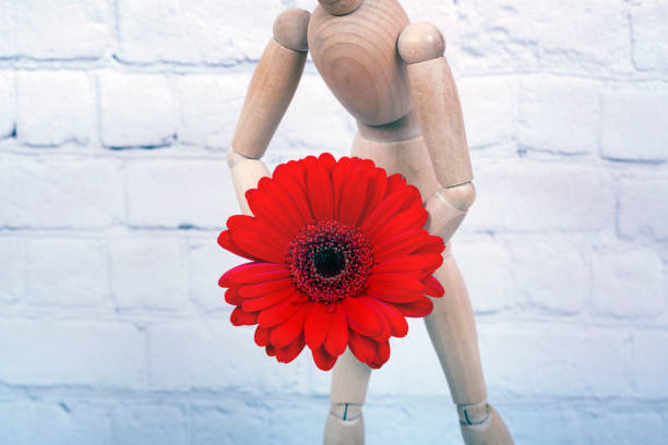 istock Wooden mannequin with red gerbera flower 924828758