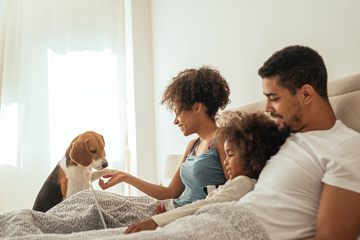 Happy family playing with their dog in bed.