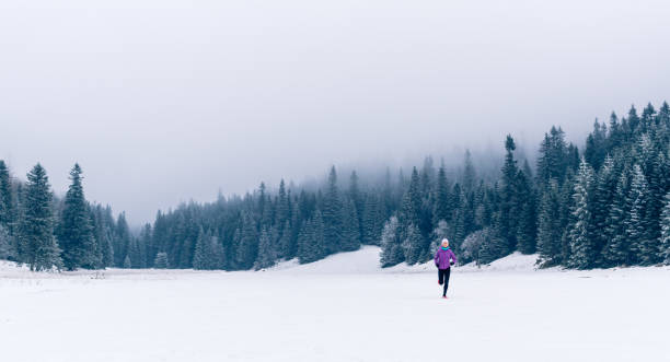 donna che corre su sentiero invernale nella foresta, ispirazione per il fitness - journey footpath exercising effort foto e immagini stock