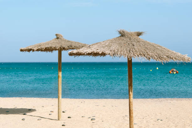 istock Thatch beach umbrellas, Fuerteventura, Spain 924837174