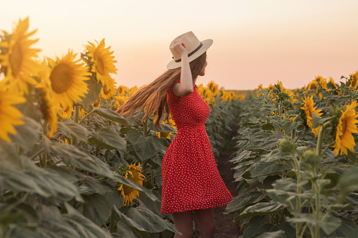 Rear view of a beautiful, young woman in red dress, with a hat dancing and enjoying in the sunflower field.