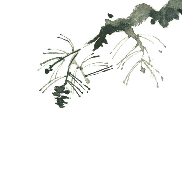 istock painting of pine branch isolated on white 924838478