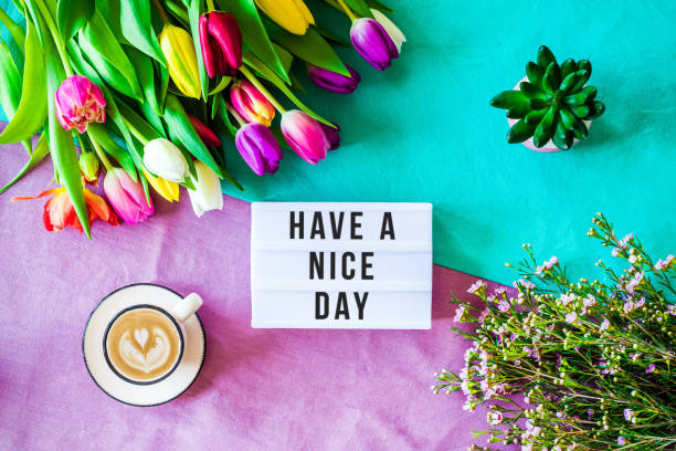 istock Have a nice day written in lightbox with spring flowers from above 924841138