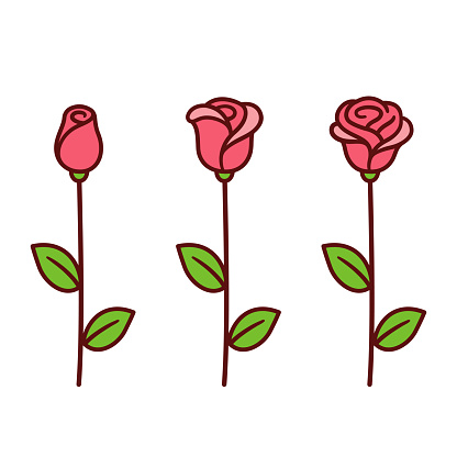 Cartoon style red rose icon set. Three stages of blooming, bud opening into beautiful flower. Hand drawn isolated vector clip art illustration.