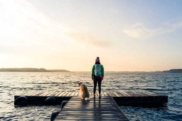 Woman with dog enjoy sunrise at lake, backpacker stock photo