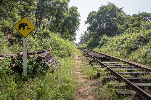 Railroad tracks through the jungle in central Sri Lanka with a sign, warning against wild elephants