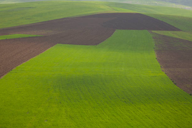 istock Colorfull view of agricultural fields in Morocco 924858088