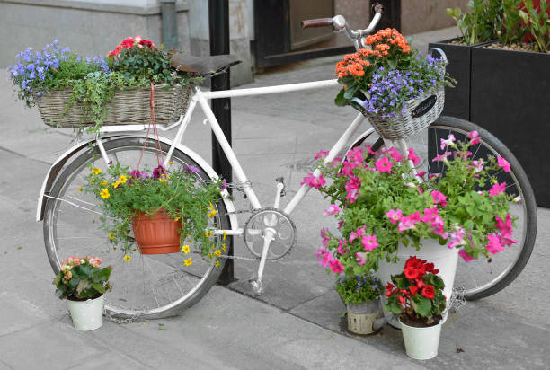 istock Old bicycle decorated with flowers 924858294