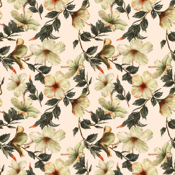 istock Hand-drawn  watercolor floral seamless pattern with the tender white hibiscus flowers 924858382