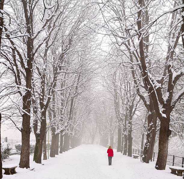 istock Lady walking in a snow covered boulevard 92486413