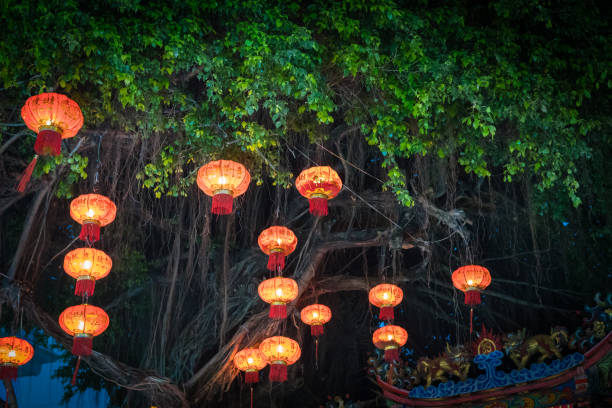 istock Decorating hanging Chinese lantern lamps on the tree. 924878148