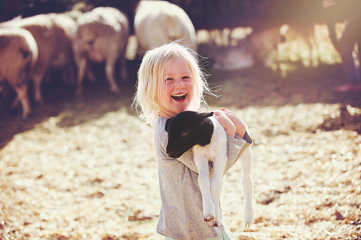A beautiful smiling 4-5-year-old young girl holding a young black and white lamb in her arms whilst smiling in a sheep pen with other sheep and straw Koo Valley Montagu Klein Karoo Western Cape South Africa