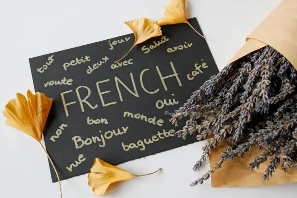 concept of learning french language, black paper card with french words