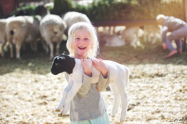Happy holding lamb turning to the front