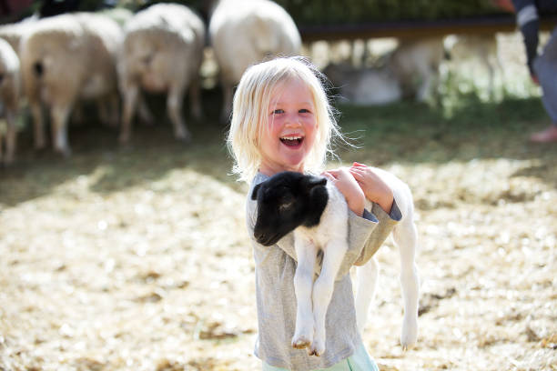 istock Happy holding lamb Smiling Girl 924879394