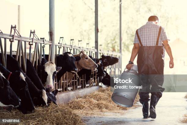 Farmer Asian Are Holding A Container Of Milk On His Farmwalking Out Of The Farm Stock Photo - Download Image Now