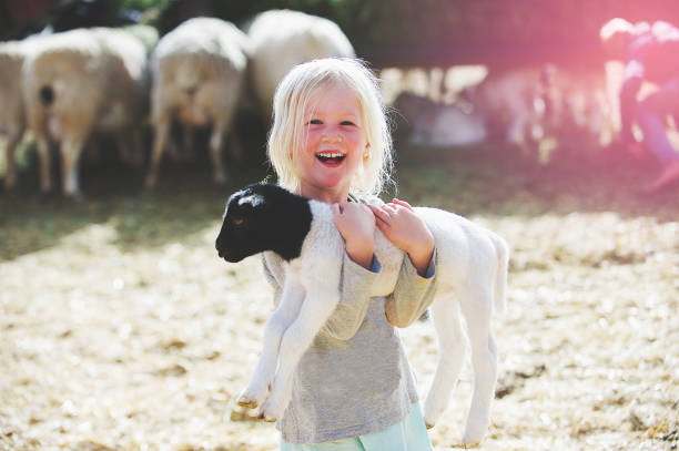istock Happy holding lamb Girl front 924882344