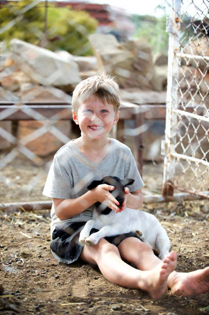 istock Happy Boy caring for Lamb Smiling 924885046