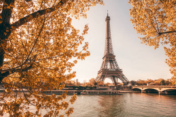 istock Eiffel Tower in Paris, France 924891096