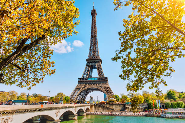 istock Eiffel Tower in Paris, France 924891460
