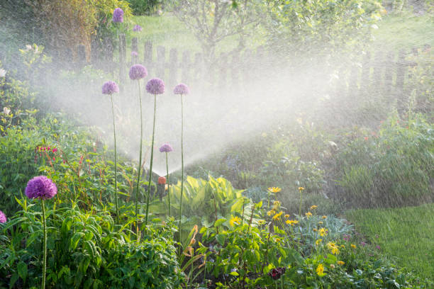 riego en el jardín de flores - aspersor fotografías e imágenes de stock