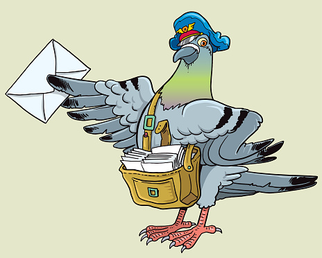 Postal pigeon
