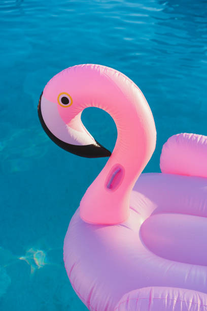 istock Flamingo inflatable on swimming pool 924894102