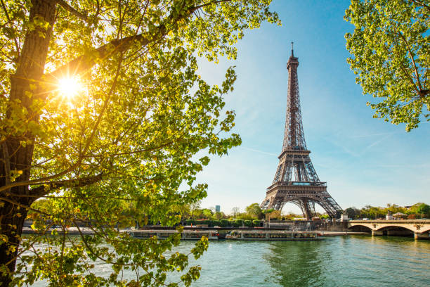 istock Eiffel Tower in Paris, France 924894182