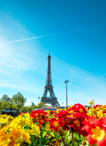 Eiffel tower with flowers in Paris, France