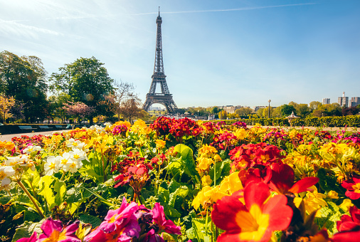 Eiffel tower with flowers in Paris, France