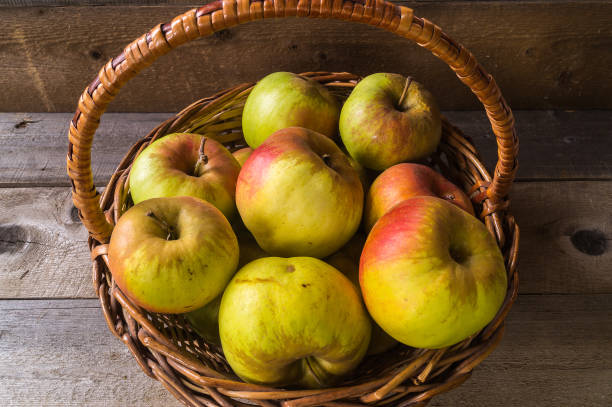 istock ripe autumn apples in the basket 924909776