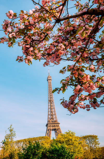 istock Eiffel Tower in Spring, Paris, France 924918570