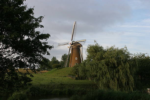 Mill on a terp in Holland stock photo