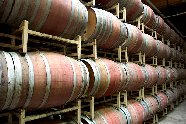 barris de vinho - aging process french culture winemaking next to imagens e fotografias de stock