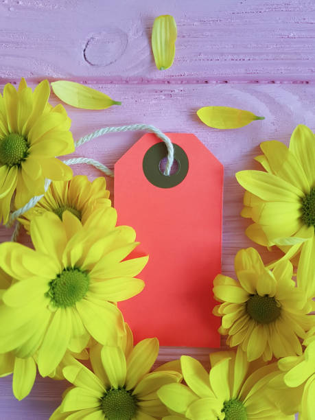 istock yellow chrysanthemum on a pink wooden background tag 924927656